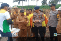 Kadis Pertanian dan Ketahanan Pangan Tojo Una-una Mahdi SP bersama kelompok tani, dan Manajer PT Bisi 235 Macho beserta petugasnya saat panen raya pada Selasa 3 Juni 2025.