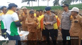 Kadis Pertanian dan Ketahanan Pangan Tojo Una-una Mahdi SP bersama kelompok tani, dan Manajer PT Bisi 235 Macho beserta petugasnya saat panen raya pada Selasa 3 Juni 2025.