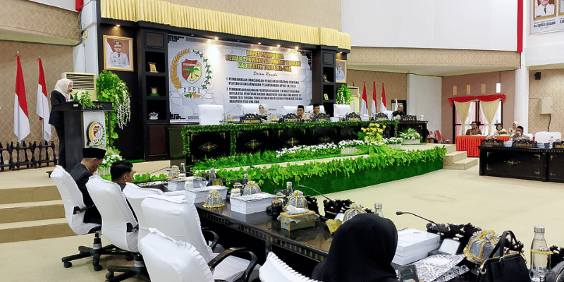 Sekretaris Fraksi Amanat Perjuangan DPRD Tojo Una-una, Sumiyati, S.Pd., saat menyampaikan pandangan Pertangungjawaban Pelaksanaan APBD Tahun 2024 pada sidang Paripurna DPRD Touna, Senin (30/6)