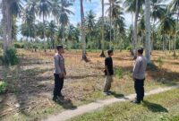 Kapolsek Ampana Kota, AKP Maryanto, saat meninjau lahan jagung siap panen di Desa Buntongi, Kecamatan Ampana Kota pada Rabu (15/4/2026).
