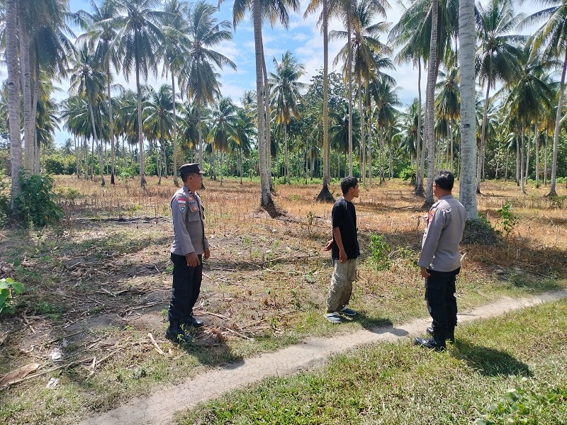 Kapolsek Ampana Kota, AKP Maryanto, saat meninjau lahan jagung siap panen di Desa Buntongi, Kecamatan Ampana Kota pada Rabu (15/4/2026).
