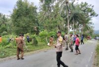 Tim gabungan instansi terkait turun ke lapangan memotong pohon berpotensi tumbang, di Jalur Trans Luwuk–Ampana, Senin (20/4/2026).