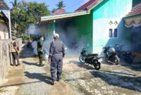  Pemerintah Kabupaten Tojo Una-Una melalui Dinas Kesehatan bergerak cepat melakukan fogging di Kelurahan Uemalingku, Sabtu (18/7/2026).